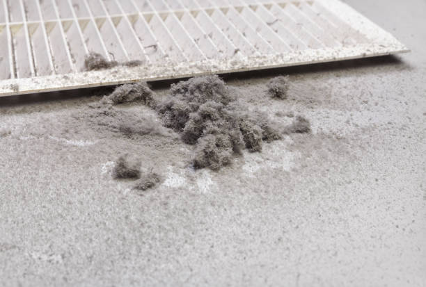 Best HVAC System Cleaning  in Union, MS
