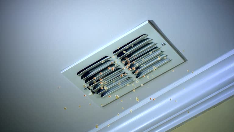 Best Best Air Duct Cleaning Company  in Union, MS