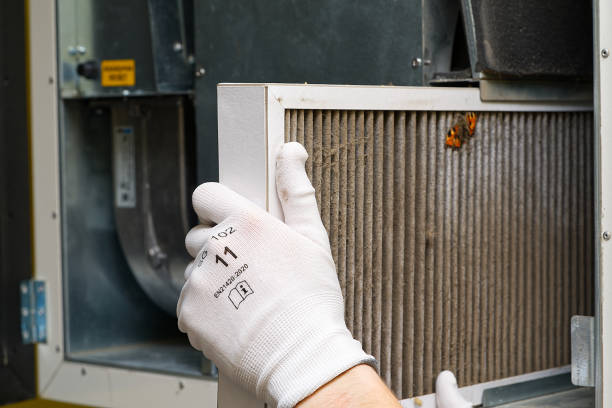 Best Affordable Duct Cleaning Services  in Union, MS