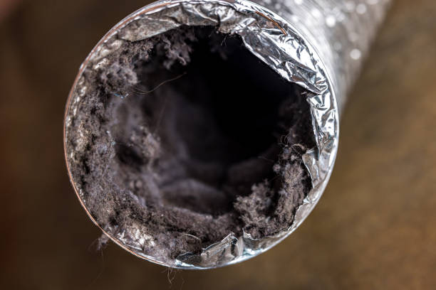 Best Air Duct Cleaning Near Me  in Union, MS