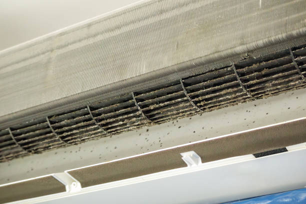 Best Air Duct Cleaning Near Me  in Union, MS